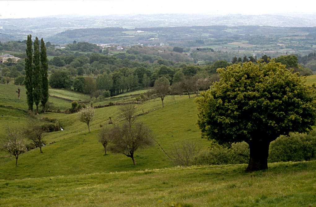 O Paramo