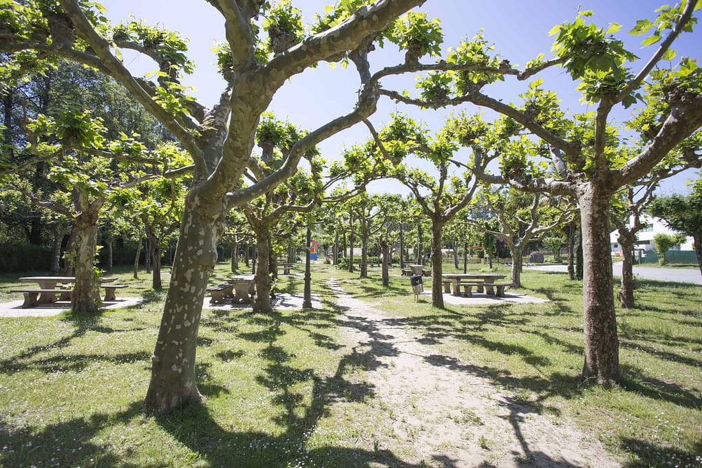 Parque do Chanto