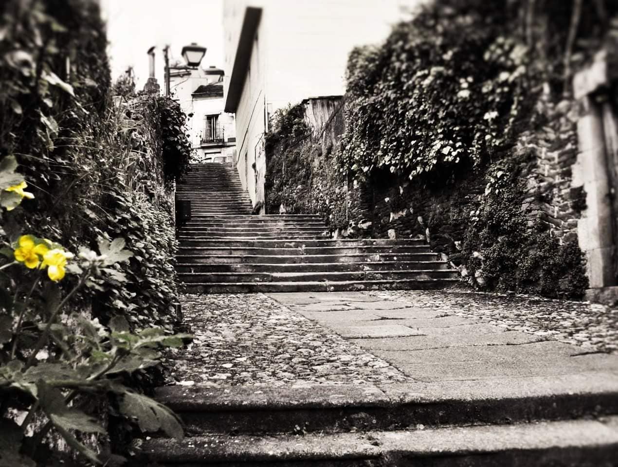 Escalinata Maior. Foto Manuel Somoza