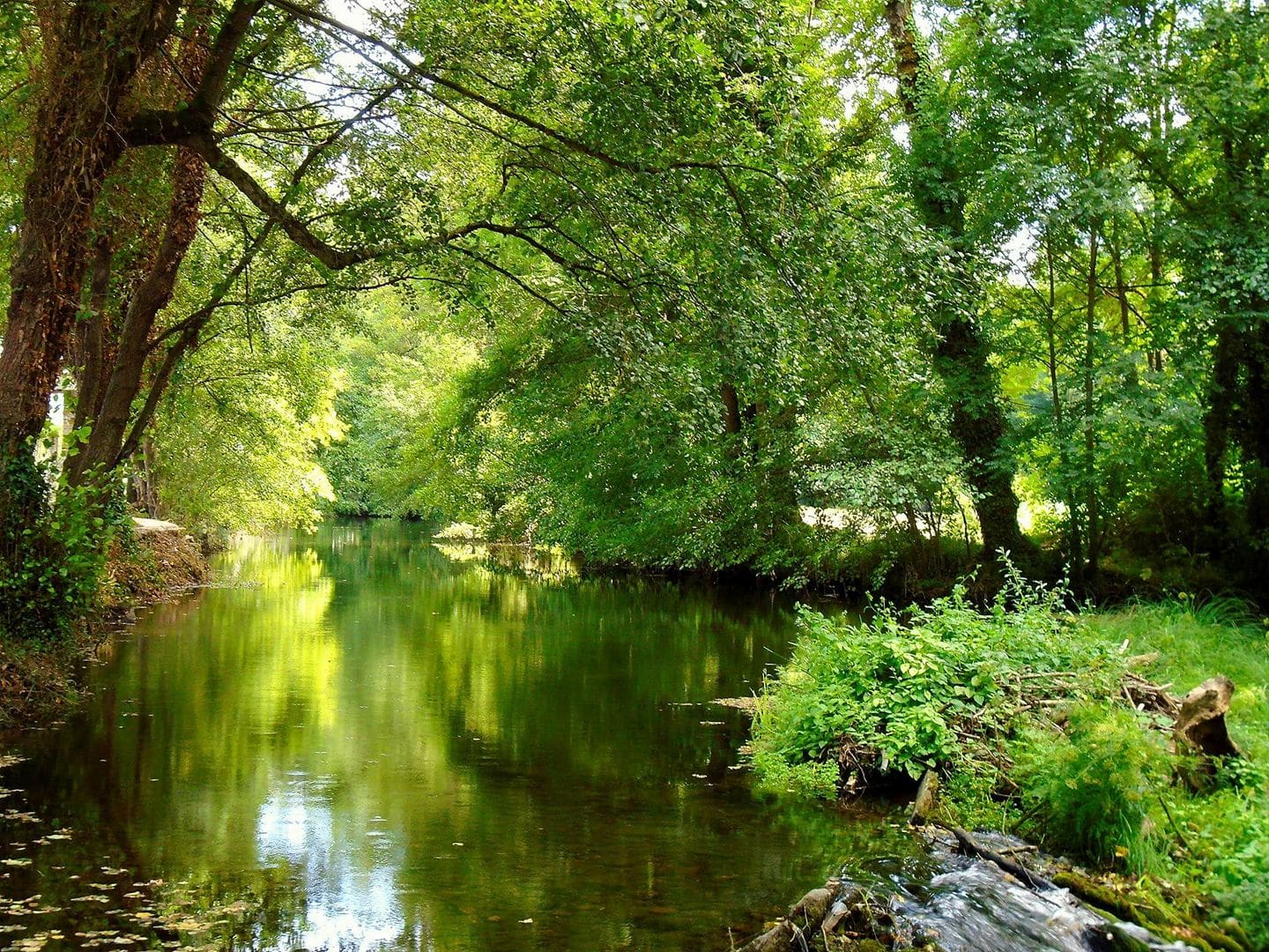 Río Sarria. Foto Manuel Somoza