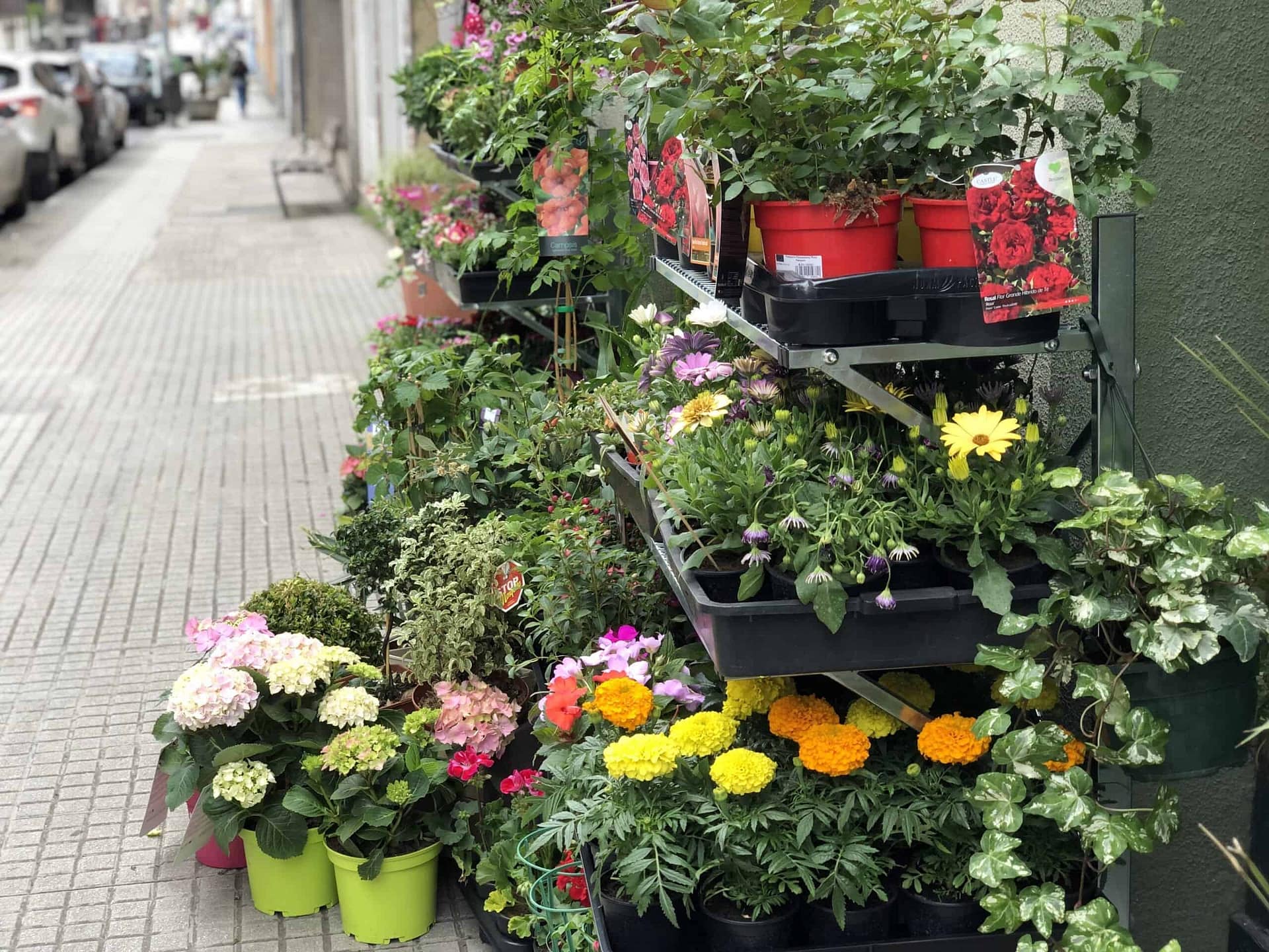 Mercado de Sarria
