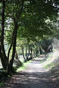 Caminos de Santiago