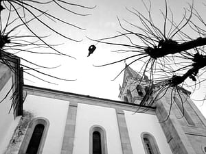 Campanario Sta. Marina. Foto: Manuel Somoza